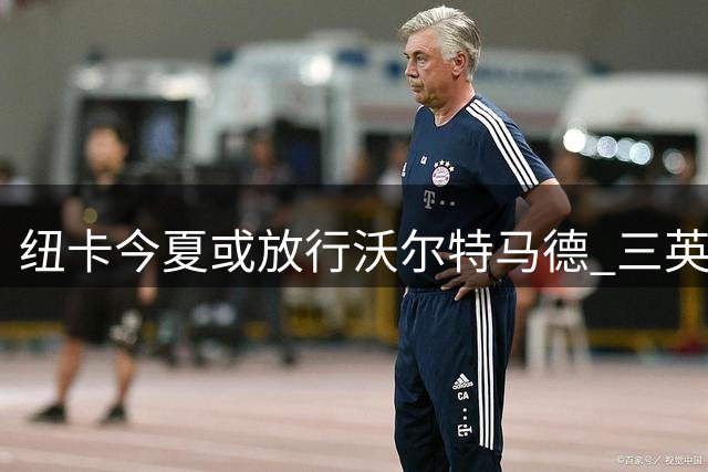 纽卡今夏或放行沃尔特马德 三英超劲旅紧盯租借机会